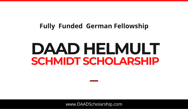 DAAD Helmut Schmidt Scholarship Programme 2022-2023