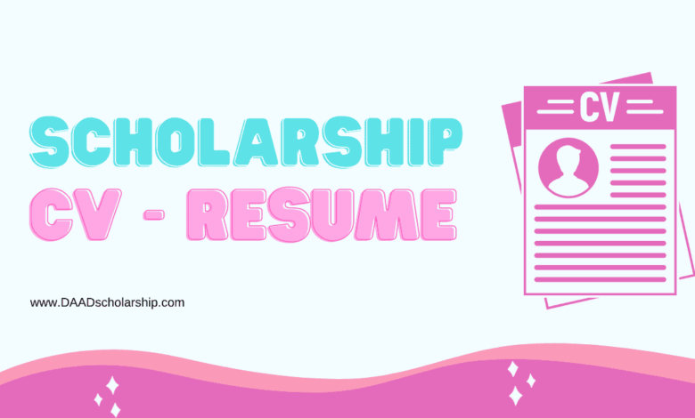 Stunning CV (Resume) for Scholarships [Pro Scholarship CV]