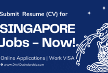 Jobs in Singapore for International Applicants 2023