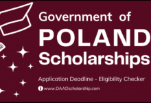 Poland Government NAWA Scholarships 2024 for International Students