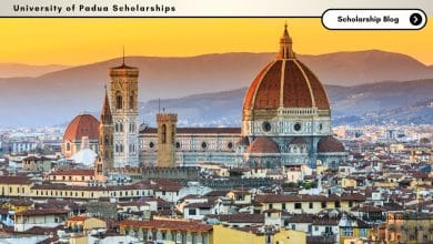 University of Padua Regione Veneto Scholarships 2024